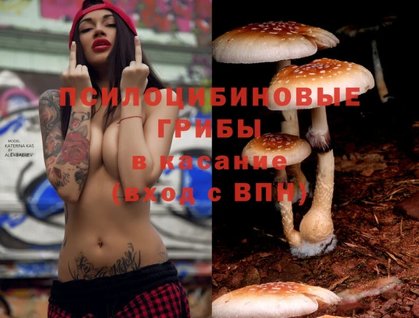 бутират Рославль