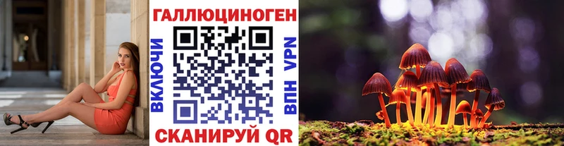 Купить  Красавино  Галлюциногенные грибы Psilocybine cubensis 